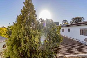 Image 15 - 373329