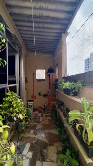 Image 17 - 374575