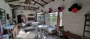 Image 17 - 376303