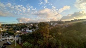 Image 15 - 379151
