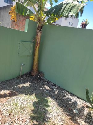 Image 16 - 379405