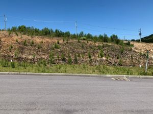 Image 0 - 379433