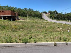 Image 5 - 379502