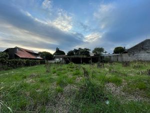 Image 3 - 386754