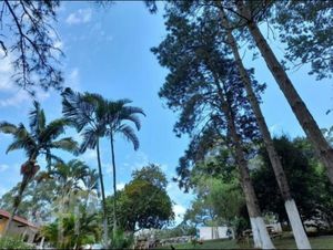 Image 3 - 387814