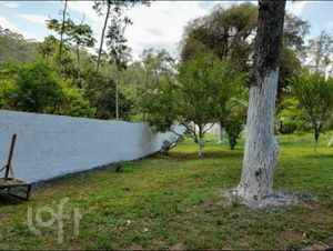 Image 2 - 387814