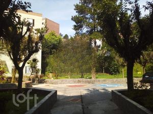Image 14 - 391944