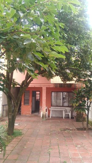 Image 20 - 392488