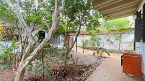 Image 13 - 394836