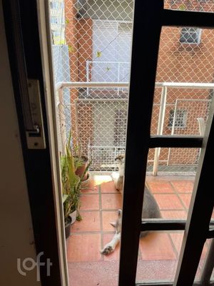Image 17 - 395302