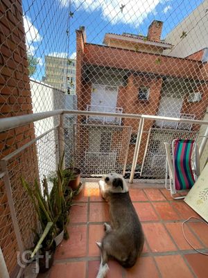 Image 16 - 395302