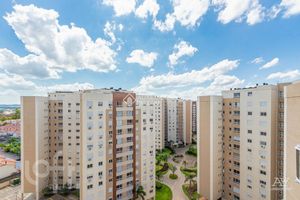 Image 14 - 395591