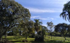 Image 14 - 395972