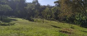 Image 7 - 395972