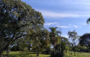 Image 8 - 395972