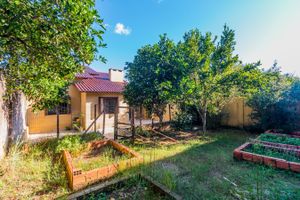 Image 36 - 396892