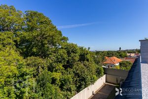 Image 34 - 397615