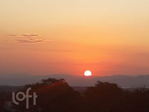 Image 13 - 398365