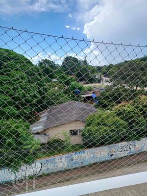 Image 20 - 398365
