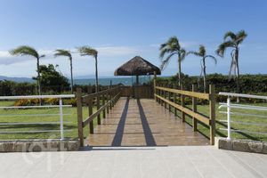 Image 59 - 398389
