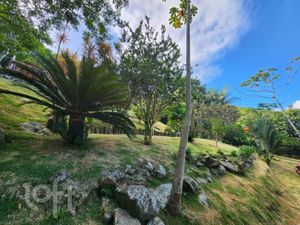 Image 14 - 398472