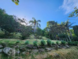 Image 16 - 398472