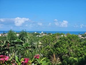 Image 53 - 398472