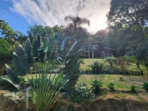 Image 7 - 398472