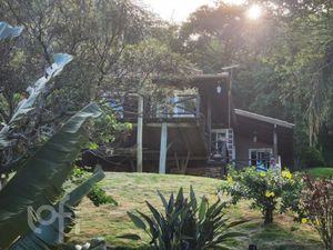 Image 6 - 398472
