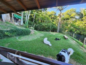 Image 31 - 398472