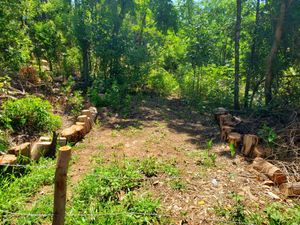 Image 1 - 399057
