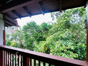 Image 3 - 403947