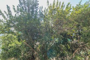 Image 11 - 404358