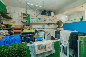 Image 37 - 404410