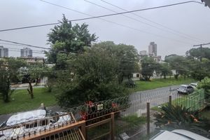 Image 33 - 405224