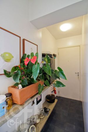 Image 21 - 409231