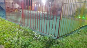 Image 15 - 417333