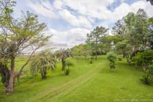Image 13 - 4264
