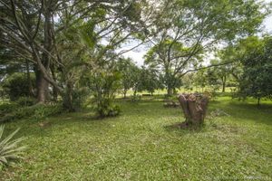 Image 23 - 4264