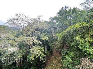Image 58 - 426439