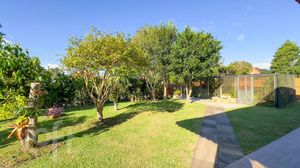 Image 20 - 426906
