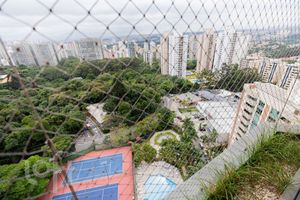 Image 55 - 431424