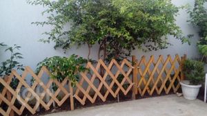 Image 18 - 433468