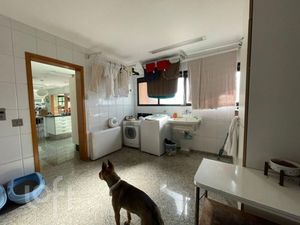 Image 8 - 439952