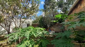 Image 2 - 443456