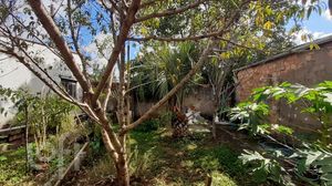 Image 1 - 443456