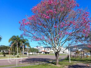 Image 20 - 443667