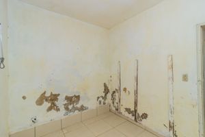 Image 14 - 444082