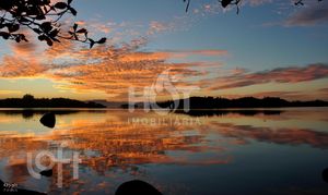 Image 36 - 445910