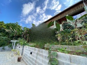 Image 9 - 445912